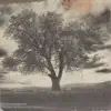 Skioffi - Gli occhi dell'albero - Single